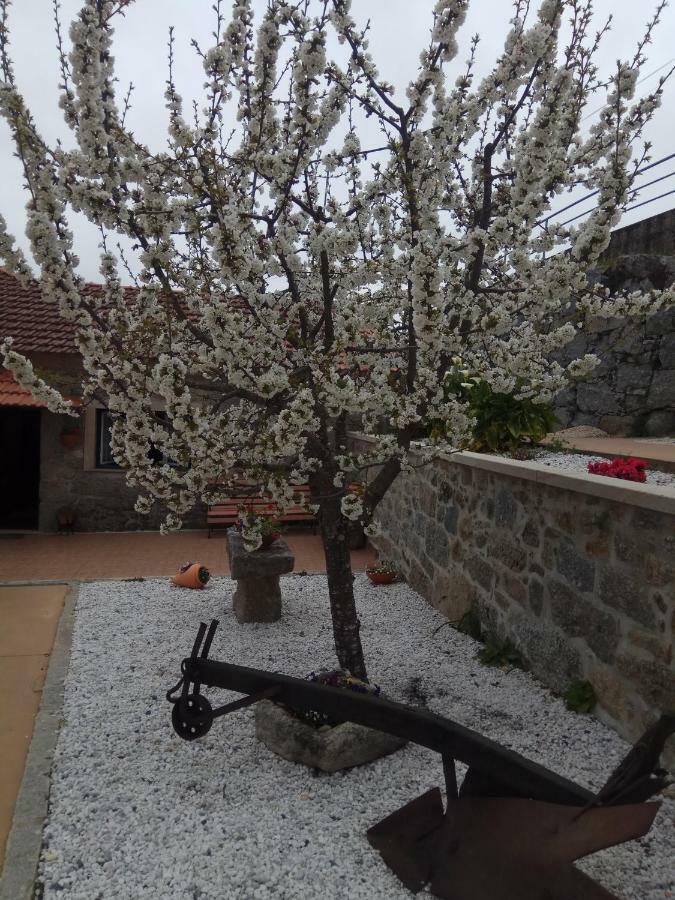 파레드스 드 코라 Casa Freitas 빌라 외부 사진